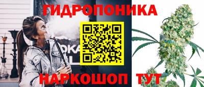 прущие грибы Конаково