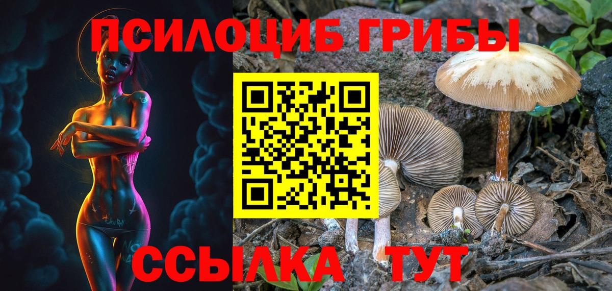 магазин продажи наркотиков  Вход с VPN  Кирово-Чепецк  Псилоцибиновые грибы мицелий 